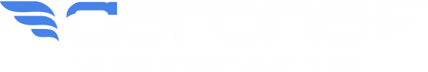 logo aeronef